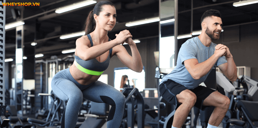 Ăn rất nhiều thực phẩm tươi ngon, giàu chất dinh dưỡng, nhưng không bao giờ tăng cân được. Hãy cùng WheyShop tìm hiểu tại sao ăn nhiều vẫn gầy....