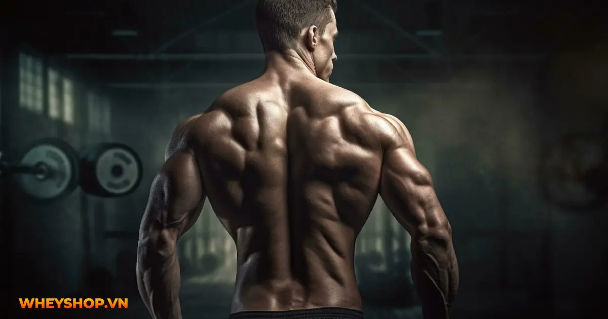 tang-nguoi-mesomorph-la-gi-01-min