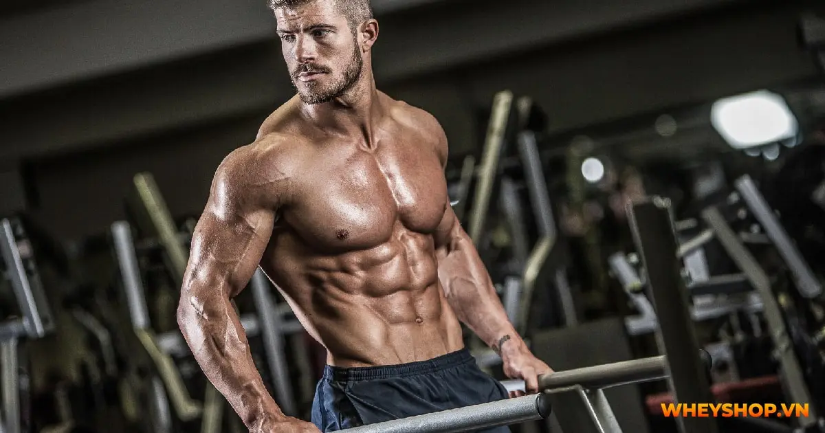 tang-nguoi-mesomorph-la-gi-01-min