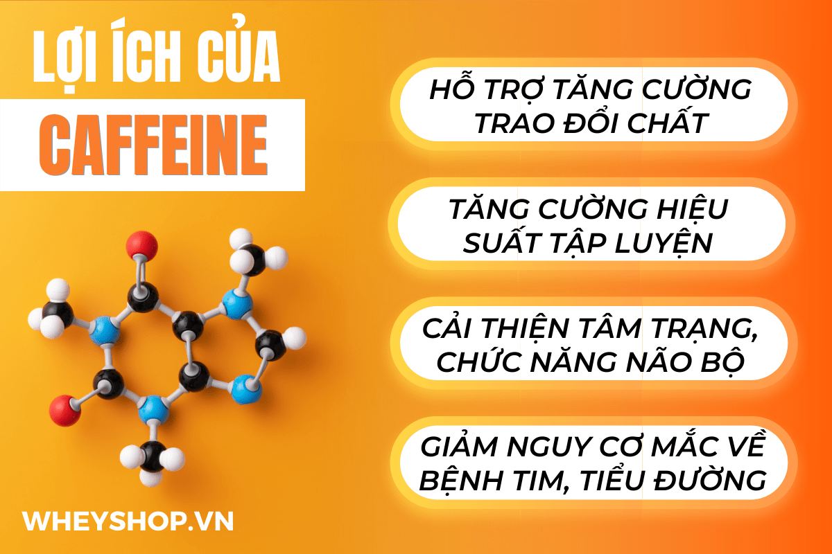 Caffeine là một thành phần tăng sức mạnh hiệu quả khi tập luyện - Bài viết này tìm hiểu về Caffeine và những lợi ích của Caffeine đối với gymer nhé...