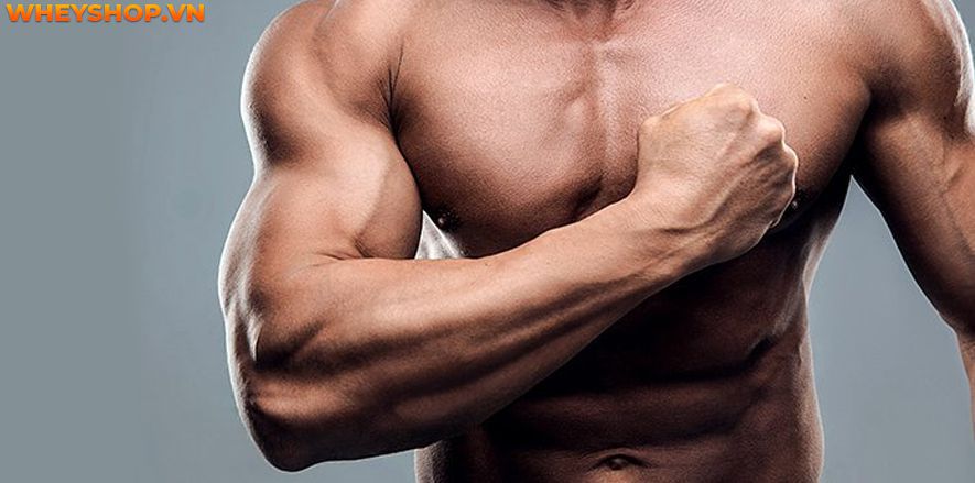 Caffeine là một thành phần tăng sức mạnh hiệu quả khi tập luyện - Bài viết này tìm hiểu về Caffeine và những lợi ích của Caffeine đối với gymer nhé...