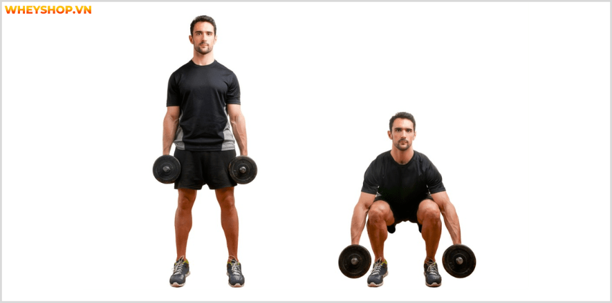 Cơ lưng xô, một nhóm cơ vô cùng quan trọng đối với gymer, Cùng Dinh Dưỡng thể hình tìm hiểu ngay các bài tập cơ lưng xô tại nhà với tạ đơn ngay nhé...