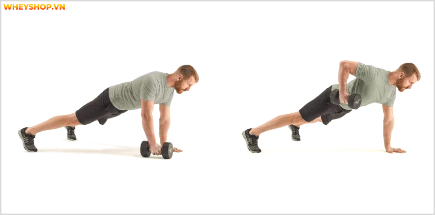 Cơ lưng xô, một nhóm cơ vô cùng quan trọng đối với gymer, Cùng Dinh Dưỡng thể hình tìm hiểu ngay các bài tập cơ lưng xô tại nhà với tạ đơn ngay nhé...