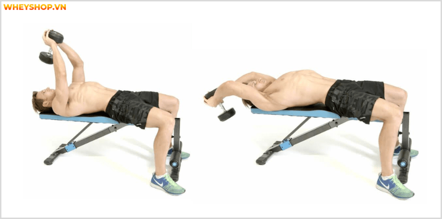 Cơ lưng xô, một nhóm cơ vô cùng quan trọng đối với gymer, Cùng Dinh Dưỡng thể hình tìm hiểu ngay các bài tập cơ lưng xô tại nhà với tạ đơn ngay nhé...