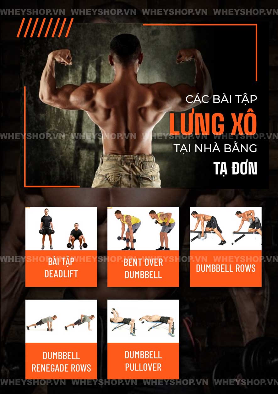 Cơ lưng xô, một nhóm cơ vô cùng quan trọng đối với gymer, Cùng Dinh Dưỡng thể hình tìm hiểu ngay các bài tập cơ lưng xô tại nhà với tạ đơn ngay nhé...