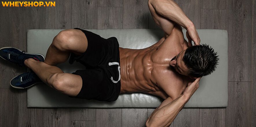 Béo bụng không chỉ gây ảnh hưởng lên sức khỏe mà còn làm bạn tự ti với ngoại hình. Chính vì thế mà những bài tập thể dục tan mỡ bụng hiệu quả tại nhà luôn...