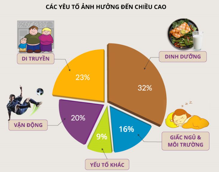 tap gym chan co bi lun khong wheyshop vn