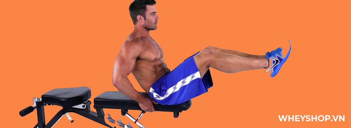 Nhiều bạn gymer vẫn luôn thắc mắc tập gym có lùn không. Bài viết này WheyShop sẽ phân tích chi tiết giải đáp thắc mắc ngay nhé ...