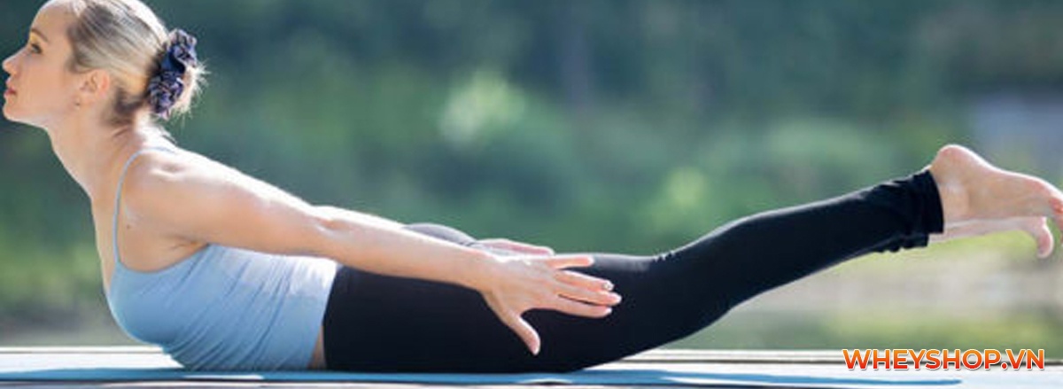 Nhiều bạn gymer vẫn luôn thắc mắc tập gym có lùn không. Bài viết này WheyShop sẽ phân tích chi tiết giải đáp thắc mắc ngay nhé ...