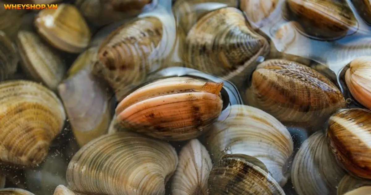 tap-gym-co-nen-an-ngheu-so-oc-hen-3