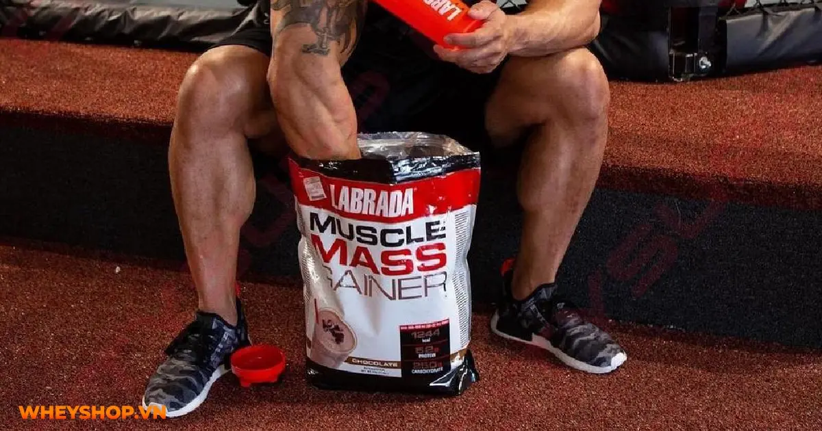 tap-gym-khong-an-sang-co-sao-khong-03-min