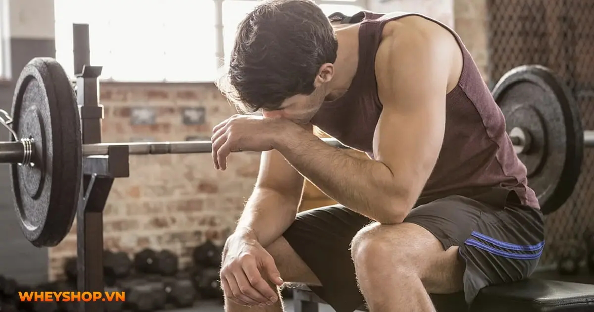 tap-gym-la-gi-03-min