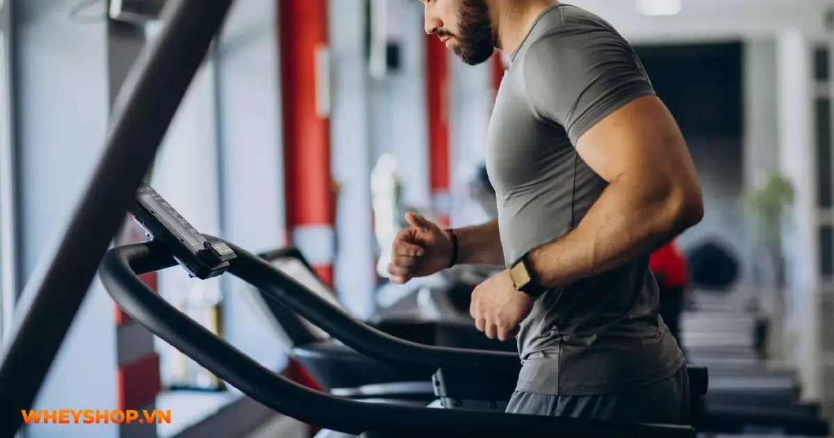 tap-gym-la-gi-03-min