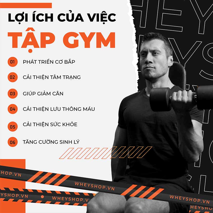 Tập gym là một bộ môn phổ biến hiện nay, mang tới rất nhiều lợi ích cho người tập luyện như cải thiện vóc dáng, sức khỏe, phòng tránh bệnh tật, ...
