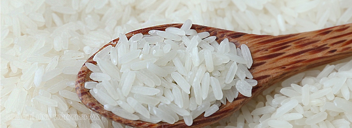 Tập gym giúp lấy lại vóc dáng hoặc thân hình từ gầy gò sang đẹp chuẩn. Nhưng chế độ dinh dưỡng gymer rất quan trọng. Để tăng cân nhanh tập gym nên ăn gì...