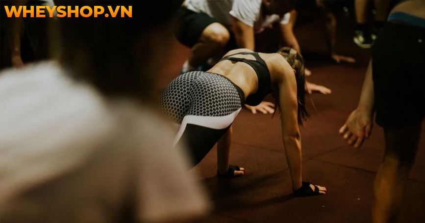 Nếu bạn đang băn khoăn ti