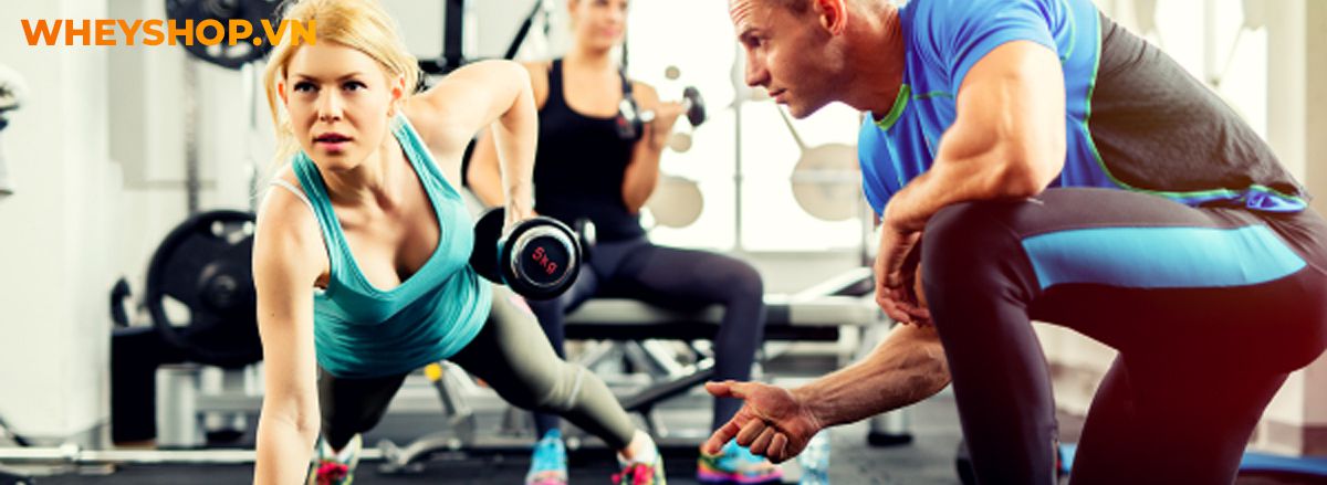 Nếu bạn đang phân vân trong việc tìm kiếm bài tập giảm mỡ bắp tay hiệu quả thì hãy cùng WheyShop điểm qua ngay 15 bài tập trong bài viết...