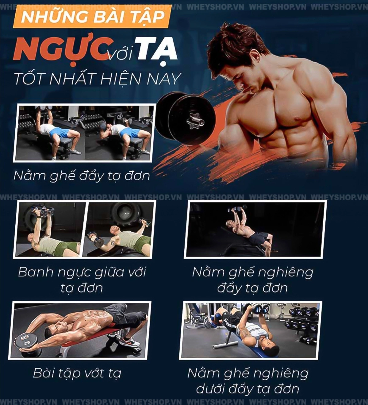 tap-nguc-voi-ta-don-toan-dien-nguc-duoi-nguc-giua-nguc-tren(1)