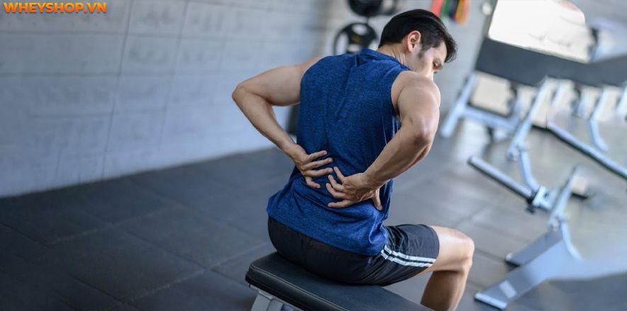 Rất nhiều người đặc biệt là người mới tập thường tập squat bị đau lưng. Vậy tình trạng này có nguy hiểm không? Lý do tại sao? Cùng WheyShop tìm hi���u...
