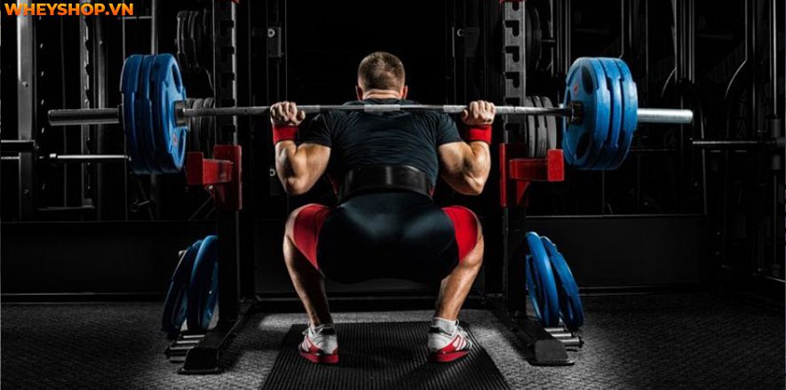 Rất nhiều người đặc biệt là người mới tập thường tập squat bị đau lưng. Vậy tình trạng này có nguy hiểm không? Lý do tại sao? Cùng WheyShop tìm hiểu...