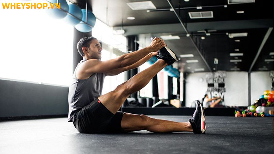 Lợi ích của việc tập thể dục có thể cải thiện gần như mọi khía cạnh sức khoẻ từ trong ra ngoài. Bài viết dưới đây WheyShop sẽ giúp bạn tìm hiểu rõ hơn lợi...