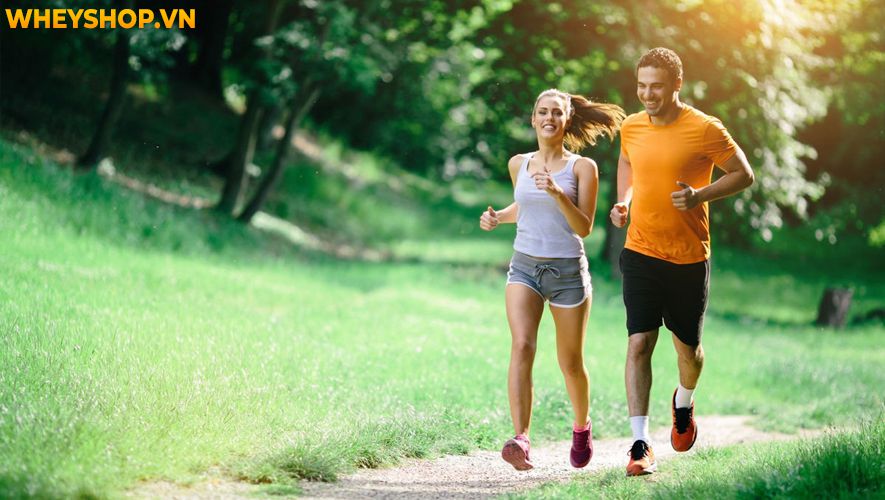 Nếu bạn đang băn khoăn trong việc tìm phương pháp giảm cân trong 1 tuần hiệu quả, đơn giản thì hãy cùng WheyShop tham khảo chi tiết qua bài viết ngay sau đây...