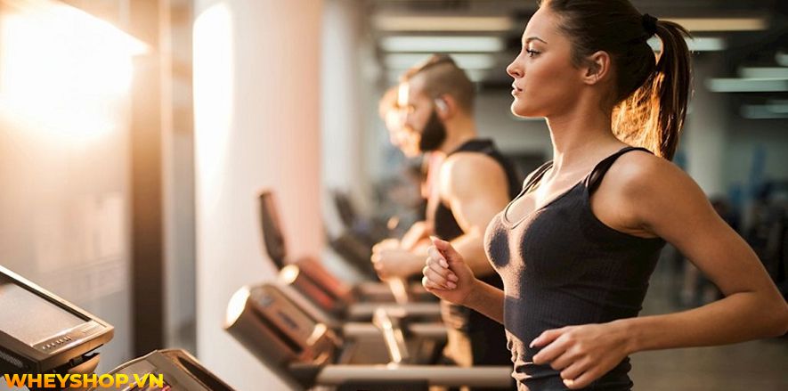 Nếu bạn đang băn khoăn tìm cách tăng cân thì hãy cùng WheyShop tham khảo thực phẩm bổ sung tăng cân cho người gầy...