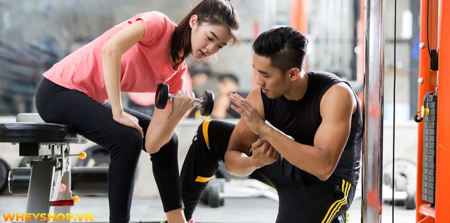 Nếu bạn đang băn khoăn tập thể hình 1 tháng bao nhiêu tiền thì hãy cùng WheyShop tham khảo chi tiết bài viết ngay sau đây nhé...