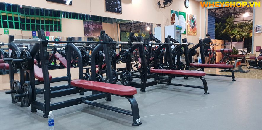 Nếu bạn đang băn khoăn tập thể hình 1 tháng bao nhiêu tiền thì hãy cùng WheyShop tham khảo chi tiết bài viết ngay sau đây nhé...