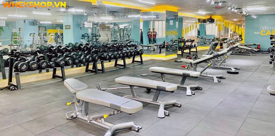 Nếu bạn đang băn khoăn tập thể hình 1 tháng bao nhiêu tiền thì hãy cùng WheyShop tham khảo chi tiết bài viết ngay sau đây nhé...