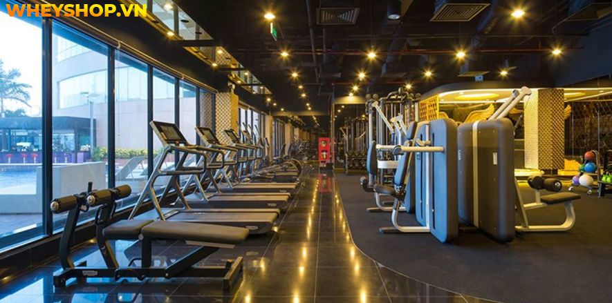 Nếu bạn đang băn khoăn tập thể hình 1 tháng bao nhiêu tiền thì hãy cùng WheyShop tham khảo chi tiết bài viết ngay sau đây nhé...