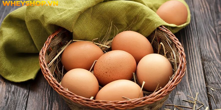 Nếu bạn đang băn khoăn thắc mắc người gầy nên ăn gì để tăng cân thì hãy cùng WheyShop tham khảo chi tiết bài viết ngay sau đây...