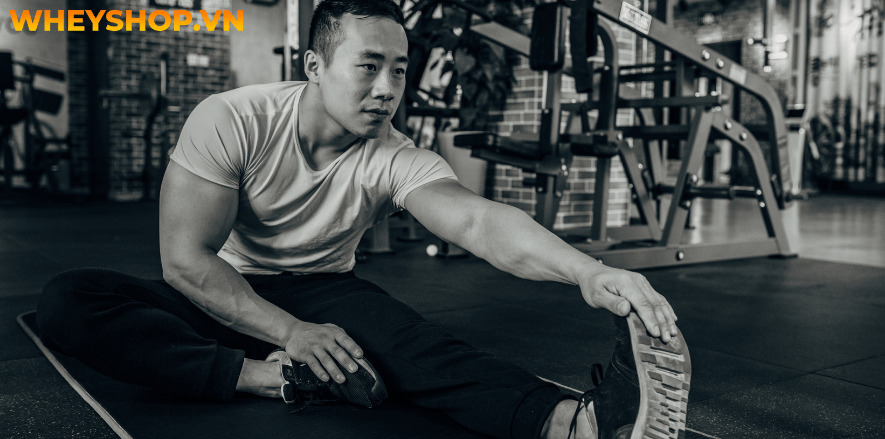 Nếu bạn đang băn khoăn không rõ tập thể hình bao lâu thì có kết quả thì hãy cùng WheyShop tham khảo chi tiết bài viết ngay sau đây...