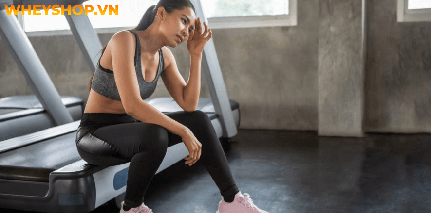 Nếu bạn đang băn khoăn không rõ tập thể hình bao lâu thì có kết quả thì hãy cùng WheyShop tham khảo chi tiết bài viết ngay sau đây...