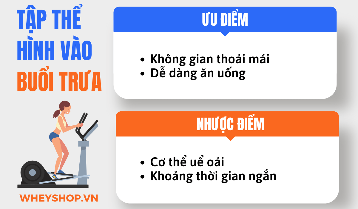 Nếu bạn đang băn khoăn tìm hiểu tập thể hình buổi nào tốt nhất thì hãy cùng WheyShop tham khảo chi tiết bài viết ngay sau đây...