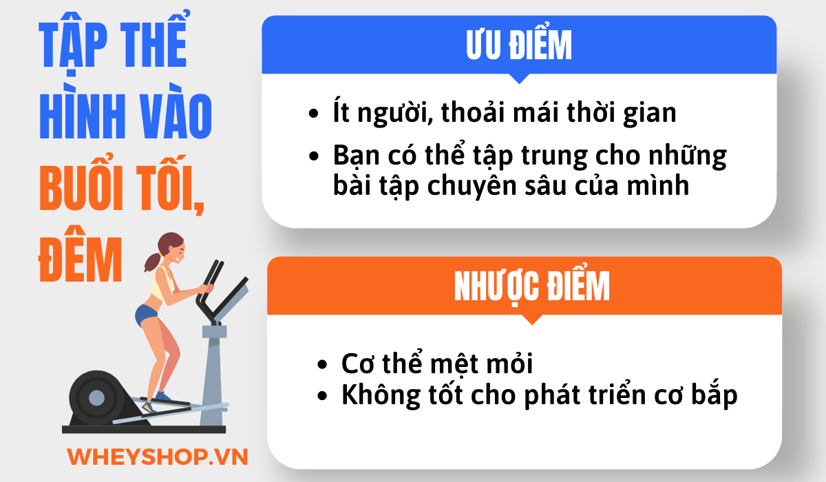 Nếu bạn đang băn khoăn tìm hiểu tập thể hình buổi nào tốt nhất thì hãy cùng WheyShop tham khảo chi tiết bài viết ngay sau đây...