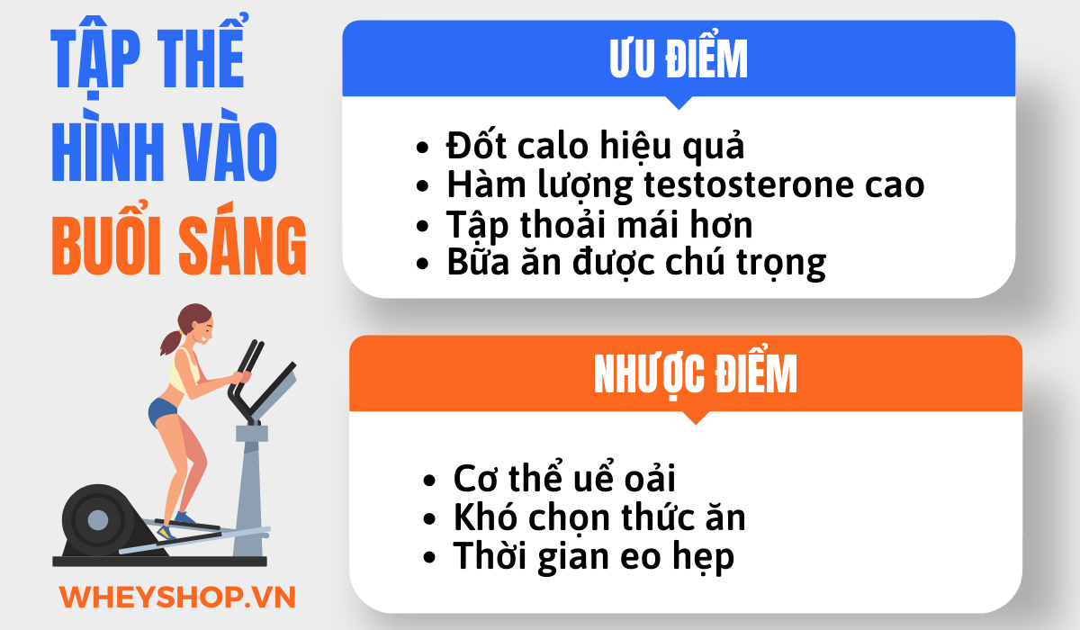 Nếu bạn đang băn khoăn tìm hiểu tập thể hình buổi nào tốt nhất thì hãy cùng WheyShop tham khảo chi tiết bài viết ngay sau đây...