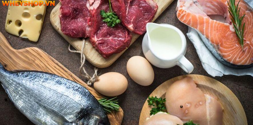 Nếu bạn đang băn khoăn trong việc ăn chay tập gym có được không thì hãy cùng WheyShop giải đáp thắc mắc qua bài viết ngay nhé...