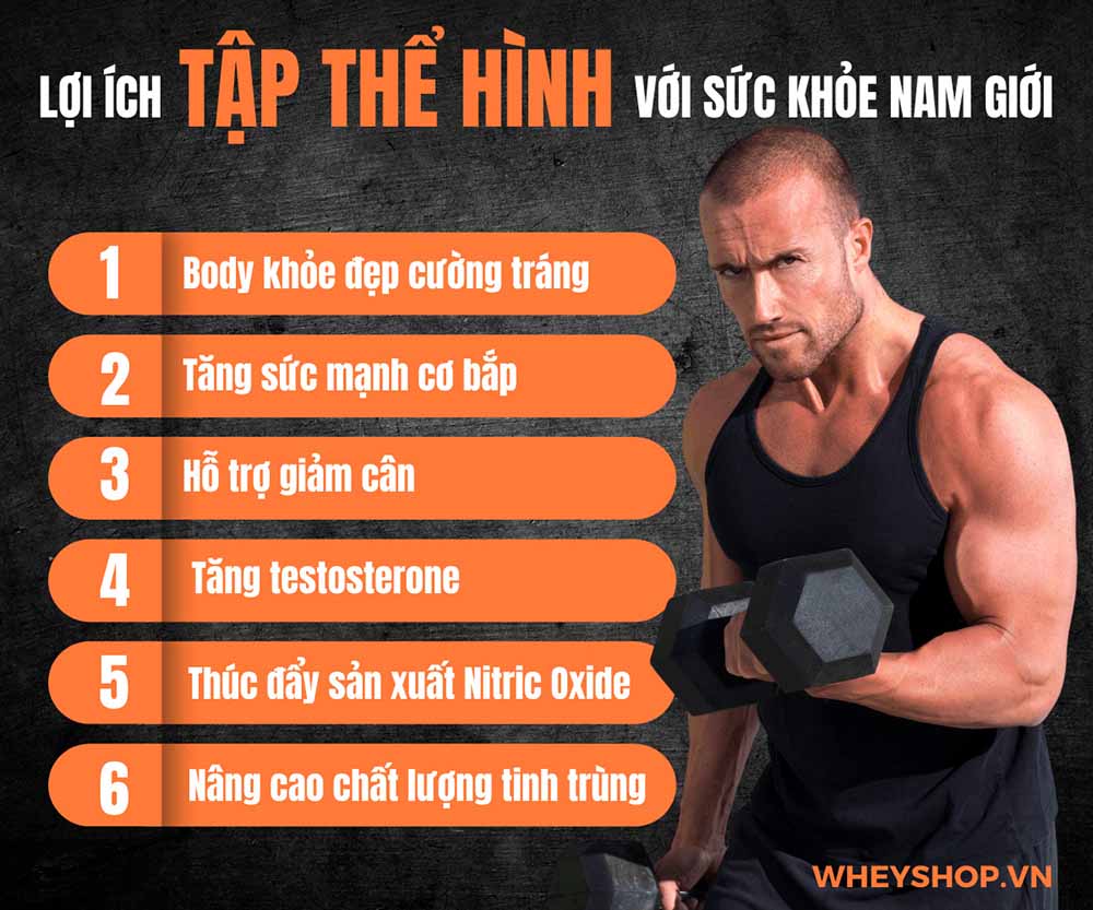 Nếu bạn đang băn khoăn tập thể hình có bị yếu sinh lý không thì hãy cùng WheyShop tìm hiểu giải đáp chi tiết bài viết ngay sau đây...