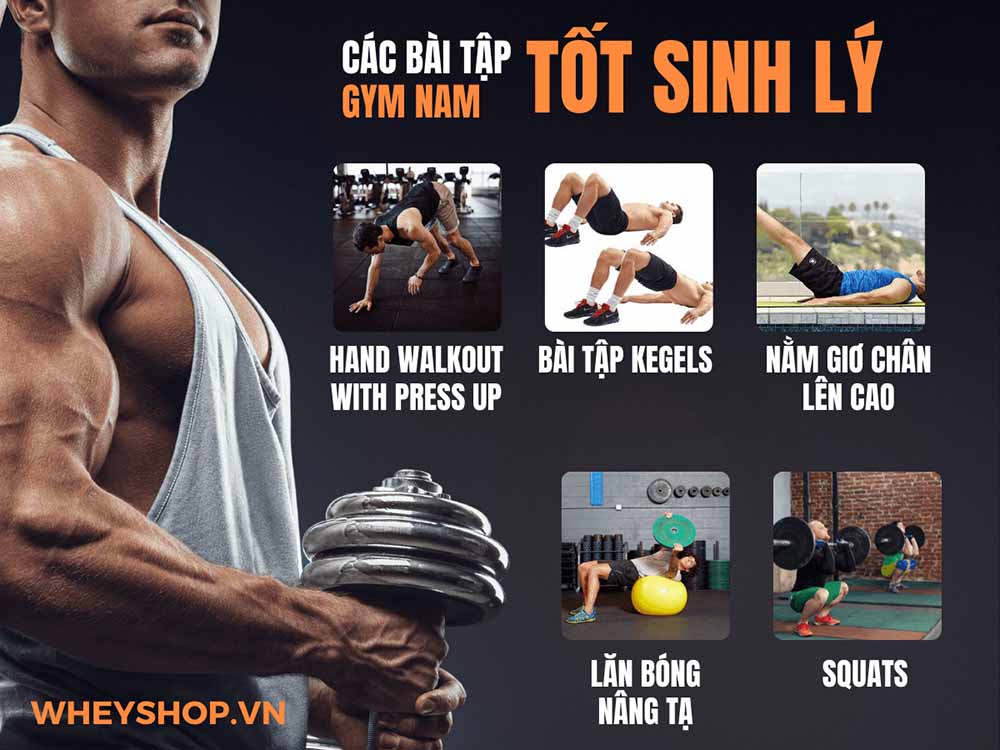 Nếu bạn đang băn khoăn tập thể hình có bị yếu sinh lý không thì hãy cùng WheyShop tìm hiểu giải đáp chi tiết bài viết ngay sau đây...
