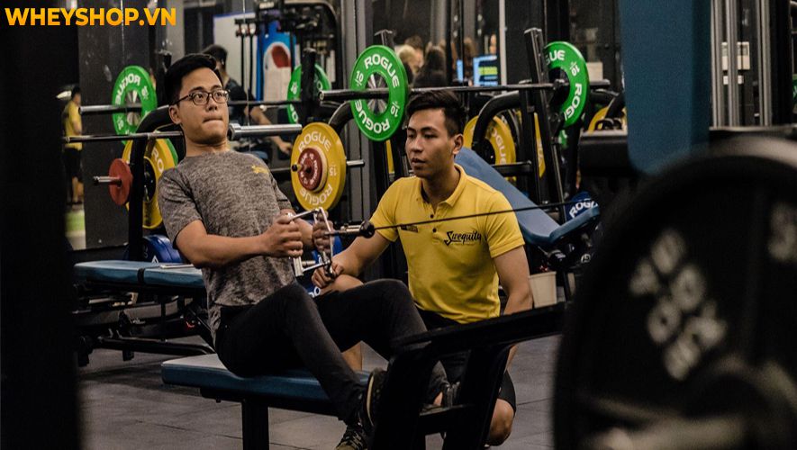 Lợi ích của việc tập thể dục có thể cải thiện gần như mọi khía cạnh sức khoẻ từ trong ra ngoài. Bài viết dưới đây WheyShop sẽ giúp bạn tìm hiểu rõ hơn lợi...