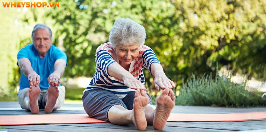 Tập Yoga mang lại vô số lợi ích cho sức khỏe. Vậy trên thực tế, tập Yoga có giảm cân không ? Xin mời các bạn hãy cùng WheyShop tham khảo bài viết dưới đây để...