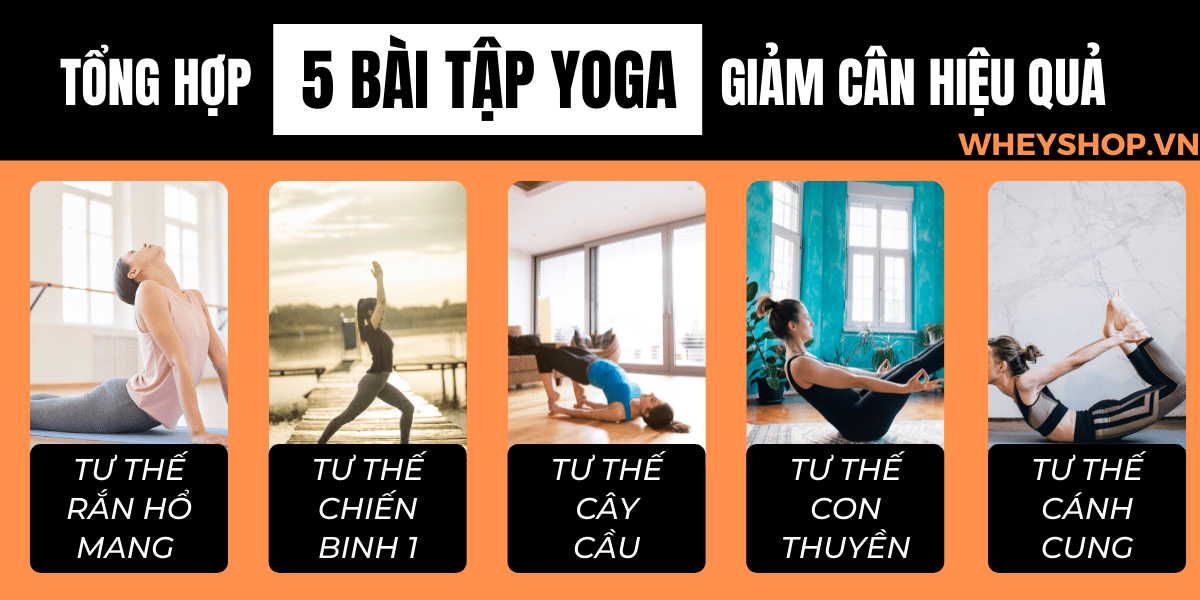 Tập Yoga mang lại vô số lợi ích cho sức khỏe. Vậy trên thực tế, tập Yoga có giảm cân không ? Xin mời các bạn hãy cùng WheyShop tham khảo bài viết dưới đây để...