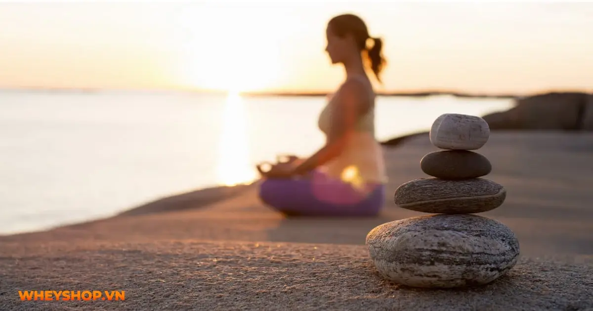 tau-hoa-nhap-ma-la-gi-01-min