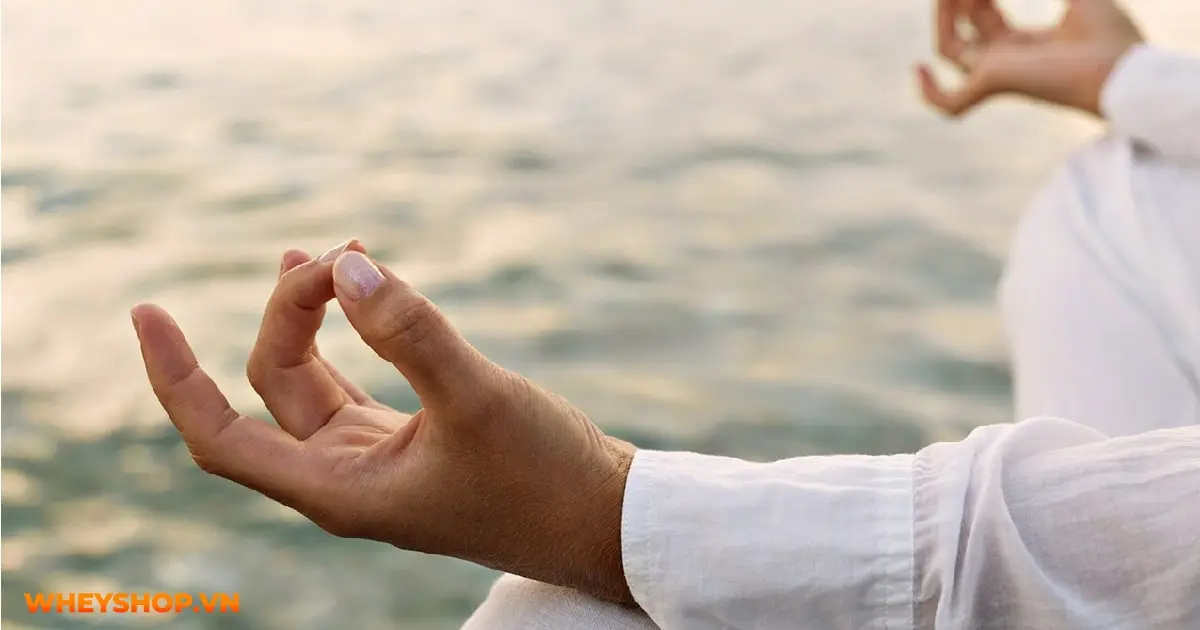 tau-hoa-nhap-ma-la-gi-01-min