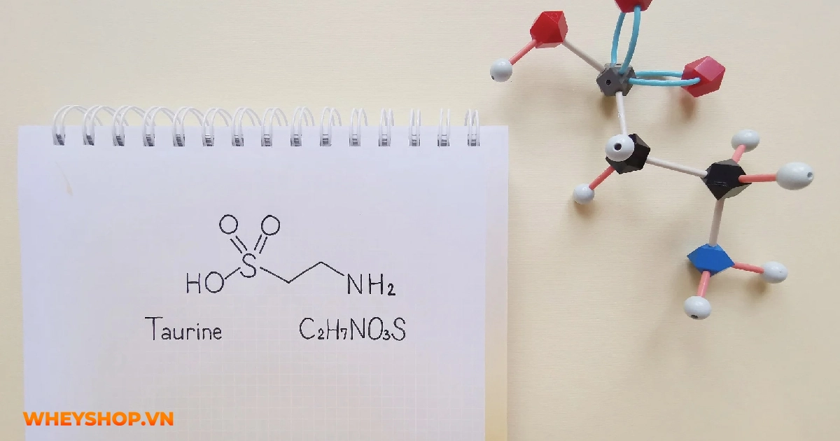 taurine-la-gi-loi-ich-tac-dung-phu-cach-su-dung-01