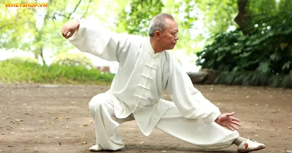 thai-cuc-quyen-24-thuc-bai-tap-don-gian-cho-moi-doi-tuong