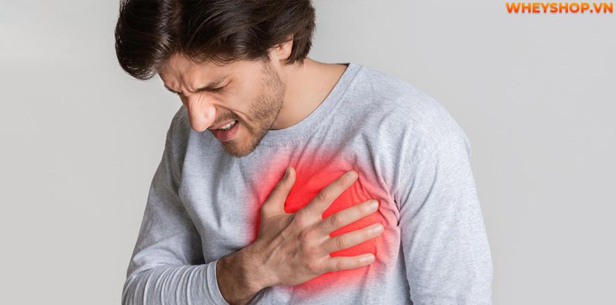 Lòng trắng trứng luôn là thực phẩm giàu dinh dưỡng cho cơ thể. Vậy lòng trắng trứng có tác dụng gì ? Bài viết này, WheyShop sẽ cùng các bạn tìm hiểu chi tiết...