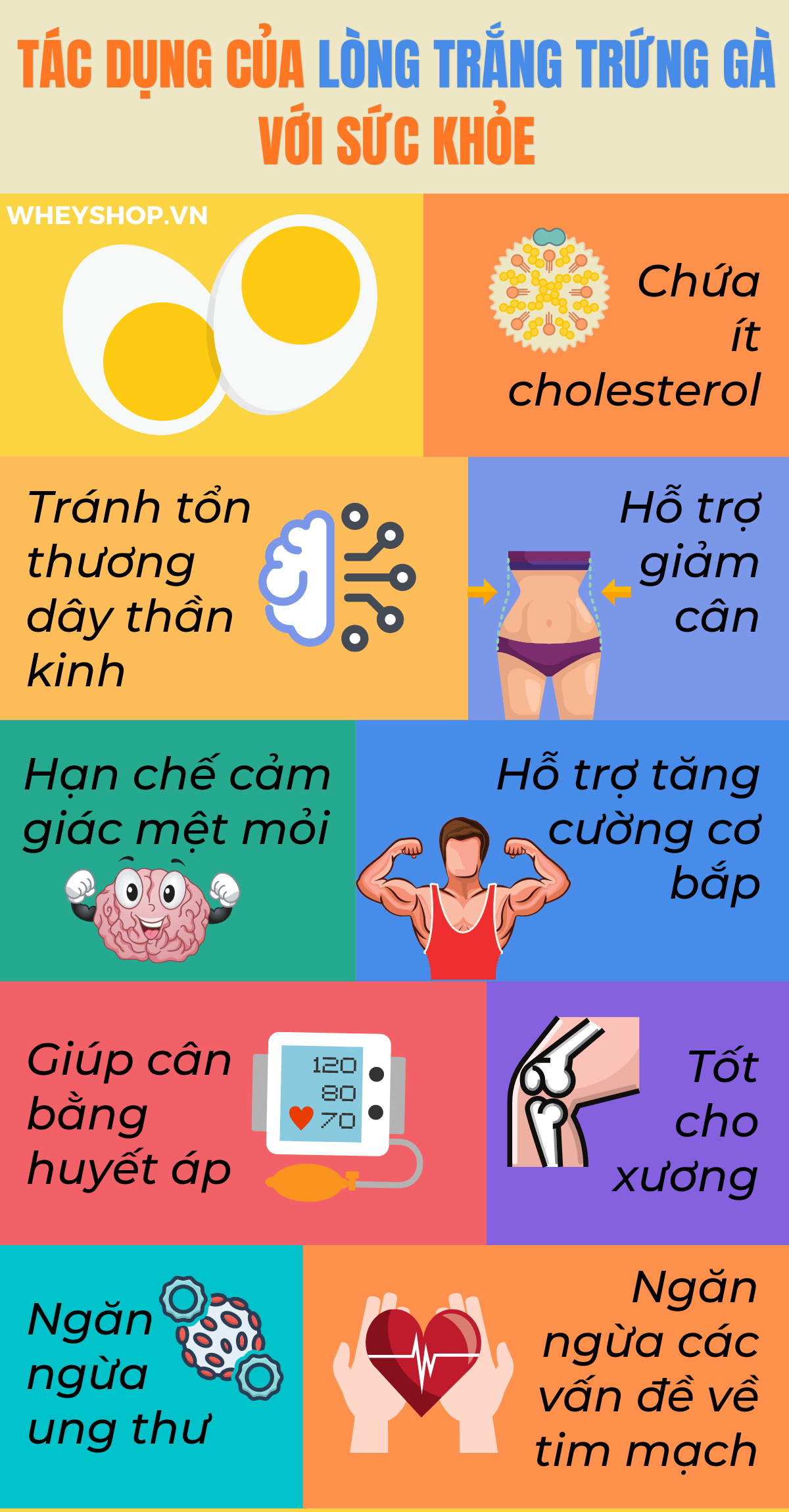 Lòng trắng trứng luôn là thực phẩm giàu dinh dưỡng cho cơ thể. Vậy lòng trắng trứng có tác dụng gì ? Bài viết này, WheyShop sẽ cùng các bạn tìm hiểu chi tiết...