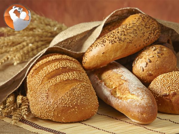 Mô hình tháp dinh dưỡng cho người tập thể hình tốt nhất Mô hình tháp dinh dưỡng cho người tập thể hình tốt nhất